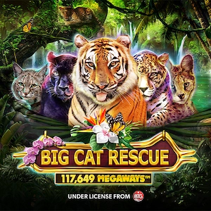 Big Cat Rescue Megaways